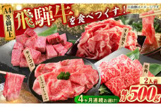 【4回定期便】 飛騨牛を食べつくす！ 飛騨牛 プレミアム 定期便 2人前 ( しゃぶしゃぶ × すき焼き × サイコロステーキ × 焼肉 ) 各500g A4等級以上 和牛 ブランド牛 国産 牛肉 多治見市 / 渡辺精肉店 [TAZ046]