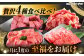 4回 飛騨牛 プレミアム 定期便 2人前 しゃぶしゃぶ すき焼き サイコロステーキ 焼肉 各500g