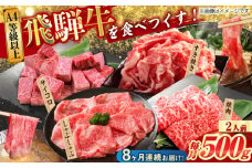 【8回定期便】 飛騨牛を食べつくす！ 飛騨牛 プレミアム 定期便 2人前 ( しゃぶしゃぶ × すき焼き × サイコロステーキ × 焼肉 ) 各500g A4等級以上 和牛 ブランド牛 国産 牛肉 多治見市 / 渡辺精肉店 [TAZ047]