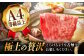 8回 飛騨牛 プレミアム 定期便 2人前 しゃぶしゃぶ すき焼き サイコロステーキ 焼肉 各500g