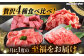 8回 飛騨牛 プレミアム 定期便 2人前 しゃぶしゃぶ すき焼き サイコロステーキ 焼肉 各500g