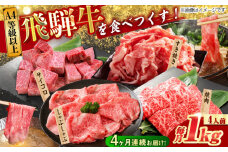 【4回定期便】 飛騨牛を食べつくす！ 飛騨牛 プレミアム 定期便 4人前 ( しゃぶしゃぶ × すき焼き × サイコロステーキ × 焼肉 ) 各1kg A4等級以上 和牛 ブランド牛 国産 牛肉 多治見市 / 渡辺精肉店 [TAZ048]