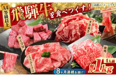 【8回定期便】 飛騨牛を食べつくす！ 飛騨牛 プレミアム 定期便 4人前 ( しゃぶしゃぶ × すき焼き × サイコロステーキ × 焼肉 ) 各1kg A4等級以上 和牛 ブランド牛 国産 牛肉 多治見市 / 渡辺精肉店 [TAZ049]