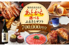 【あとから選べる】 岐阜県多治見市ふるさとギフト 70万円分  飛騨牛 日本酒 スイーツ 美濃焼 あとから ギフト [TDA036]