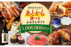 【あとから選べる】 岐阜県多治見市ふるさとギフト 100万円分  飛騨牛 日本酒 スイーツ 美濃焼 あとから ギフト [TDA039]