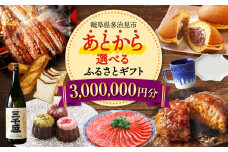 【あとから選べる】 岐阜県多治見市ふるさとギフト 300万円分  飛騨牛 日本酒 スイーツ 美濃焼 あとから ギフト [TDA041]