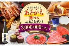 【あとから選べる】 岐阜県多治見市ふるさとギフト 300万円分  飛騨牛 日本酒 スイーツ 美濃焼 あとから ギフト [TDA041]