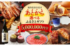 【あとから選べる】 岐阜県多治見市ふるさとギフト 500万円分  飛騨牛 日本酒 スイーツ 美濃焼 あとから ギフト [TDA043]