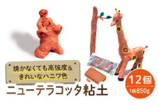 焼かなくても丈夫！ ニューテラコッタ粘土 12点  多治見市 / 美濃粘土 [TBD012]