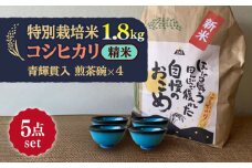【令和7年産】 精米 コシヒカリ 特別栽培米 （1.8kg）+ 【美濃焼】 青輝貫入 煎茶碗 （4個） 多治見市 / 山松加藤松治郎商店 [TEU061]
