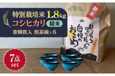 【令和7年産】 精米 コシヒカリ 特別栽培米 （1.8kg）+ 【美濃焼】 青輝貫入 煎茶碗 （6個） 多治見市 / 山松加藤松治郎商店 [TEU063]