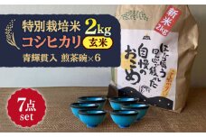【令和7年産】 玄米 コシヒカリ 特別栽培米 （2kg）+ 【美濃焼】 青輝貫入 煎茶碗 （6個） 多治見市 / 山松加藤松治郎商店 [TEU064]