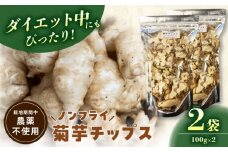 菊芋チップス 200g 乾燥菊芋 野菜チップス ノンフライ 多治見市 / 諏訪農林 [TDO008]