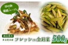 フレッシュ 金針菜 500g 多治見市 / 諏訪農林 国産 中華 料理 [TDO009]