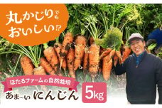※数量限定※　【先行予約】　自然栽培のにんじん 5kg 多治見市 / ほたるファーム にんじん ニンジン 5キロ [TEB008]