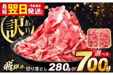 飛騨牛 切り落とし 700g 多治見市 / 飛騨牛 牛肉 和牛 養老ミート 冷凍 赤身 和牛 訳あり ギフト [THG001]
