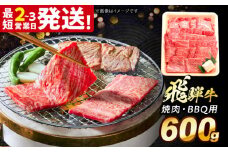 飛騨牛 焼肉 BBQ用 600ｇ 多治見市 / 飛騨牛 牛肉 和牛 養老ミート 冷凍 ロース 肩ロース 和牛 ギフト [THG016]