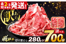 飛騨牛 切り落とし 280g 多治見市 / 飛騨牛 牛肉 和牛 養老ミート 冷凍 赤身 和牛 訳あり お試し [THG002]