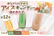 【手作りアイス】 6種類 アイスキャンディー 詰め合わせ 12本入り 食べ比べ 無香料 無着色 多治見市 / エイシン フルーツ いちご 抹茶 オレンジ ミルク コーヒー アイス 無添加 自家製 [THD011]