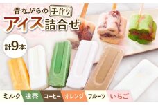 【手作りアイス】 全9種類 アイスまんじゅう アイスキャンディー 詰め合わせ 食べ比べ 9本入り 無香料 無着色 多治見市 / エイシン あずき 餡 ミルク いちご 抹茶 フルーツ オレンジ コーヒー アイス 無添加 自家製 [THD012]
