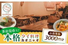 タイ料理Kaonyao お食事券3,000円分 多治見市 / タイ料理 屋台料理 カオニャオ チケット [THH001]
