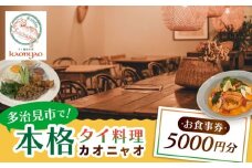 タイ料理Kaonyao お食事券5,000円分 多治見市 / タイ料理 屋台料理 カオニャオ チケット [THH002]