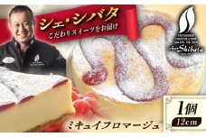 チーズケーキ ミキュイフロマージュ 多治見市 / シェ・シバタ 濃厚 スイーツ ギフト [TDH006]