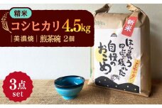 【令和7年産】 精米 コシヒカリ 特別栽培米 （4.5kg） + 【美濃焼】 青輝貫入 煎茶碗 （2個） 多治見市 / 山松加藤松治郎商店 [TEU019]