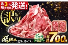 【6回定期便】 飛騨牛 切り落とし 700g 多治見市 / 養老ミート [THG018]