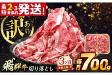 【3回定期便】 飛騨牛 切り落とし 700g 多治見市 / 養老ミート [THG017]