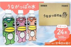 【4回定期便】 うながっぱの水 1ケース（ 500ml ペットボトル × 24本 ） 15 多治見市 /多治見市観光協会 ミネラルウォーター 備蓄 [TAQ016]