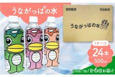 【6回定期便】 うながっぱの水 1ケース（ 500ml ペットボトル × 24本 ） 2 多治見市 /多治見市観光協会 ミネラルウォーター 備蓄 [TAQ017]