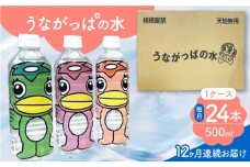 【12回定期便】 うながっぱの水 1ケース（ 500ml ペットボトル × 24本 ） 2 多治見市 /多治見市観光協会 ミネラルウォーター 備蓄 [TAQ018]