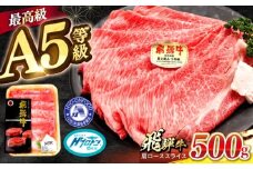 【A5等級】 飛騨牛 肩ロース スライス 500g 多治見市 / 豊吉屋精肉店 プロトン凍結 氷温(R)熟成 国産 ブランド牛 [THK001]