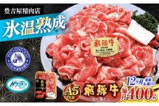 《12回定期便》 【A5等級】 飛騨牛 切り落とし(前バラ・肩ロース使用) 総計4.8kg 〈1回あたり〉400g 多治見市 / 豊吉屋精肉店 プロトン凍結 氷温(R)熟成 国産 ブランド牛 [THK003]