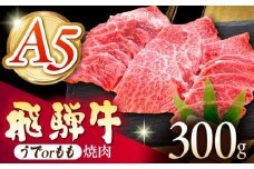 《冷蔵》 【A5等級】 飛騨牛 うでorもも 焼肉 300g 多治見市 / 肉の沖村 A5 牛肉 ギフト 贈り物 [THI016]