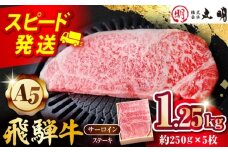 【A5等級】 飛騨牛 サーロインステーキ用 1.25kg(約250g×5枚) 多治見市 / 飛騨牛の丸明 冷凍 和牛 赤身 霜降り 希少部位 [THL009]