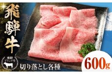 飛騨牛 切落とし 600g(約150g×4パック) 小分け 多治見市 / 飛騨高山ミート MZ001 冷凍 真空パック ブランド和牛 [THP001]