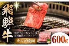 飛騨牛 カルビ焼肉 600g(150g×4パック) 小分け 多治見市 / 飛騨高山ミート MZ005 [THP005]