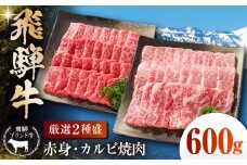 【厳選2種盛】 飛騨牛 赤身 カルビ 600g(150g×4パック)各2パック 焼肉用 小分け 多治見市 / 飛騨高山ミート MZ008 冷凍 真空パック BBQ 焼肉 ブランド和牛 食べくらべ [THP007]