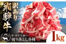 【訳あり】 飛騨牛 切落とし 1kg(500g×2パック) 多治見市 / 飛騨高山ミート MZ035 [THP026]