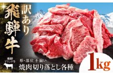 【訳あり】 飛騨牛 焼肉 切り落とし 1kg(500g×2パック) 多治見市 / 飛騨高山ミート MZ036 [THP027]