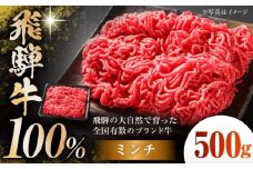 飛騨牛 100％ ミンチ 500g 多治見市 / 飛騨高山ミート MZ039 冷凍 真空パック ブランド和牛 [THP030]
