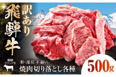 【訳あり】 飛騨牛 焼肉 切り落とし 500g 多治見市 / 飛騨高山ミート MZ013 [THP012]