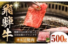 飛騨牛 カルビ焼肉 500g 多治見市 / 飛騨高山ミート MZ037 [THP028]