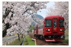 観光列車 「ながら」 ランチプラン 予約 乗車券（ペア） T84-01 