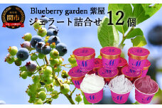 農薬不使用の自然農園 紫屋のジェラート 12個セット 【 ブルーベリー・ミルク・ソルベ 】