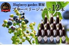 農薬不使用の自然農園 紫屋の【ブルーベリージュース】 12本 （720ml）