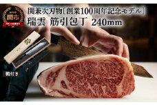 TBS「ララLIFE」で紹介されました(R5.5) 特製切付包丁 瑞雲 筋引 木鞘付き H77-05 【最長8ヶ月を目安に配送】