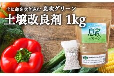 土に息を吹込む 息吹グリーン（土壌改良材）１kg入 D10-15 美味しい野菜をつくる 花を生き生き育てる 花壇 家庭菜園 園芸 庭 耕す 花 野菜 収穫 野菜づくり 肥料 堆肥 土 栄養剤 土壌栄養剤 土づくり